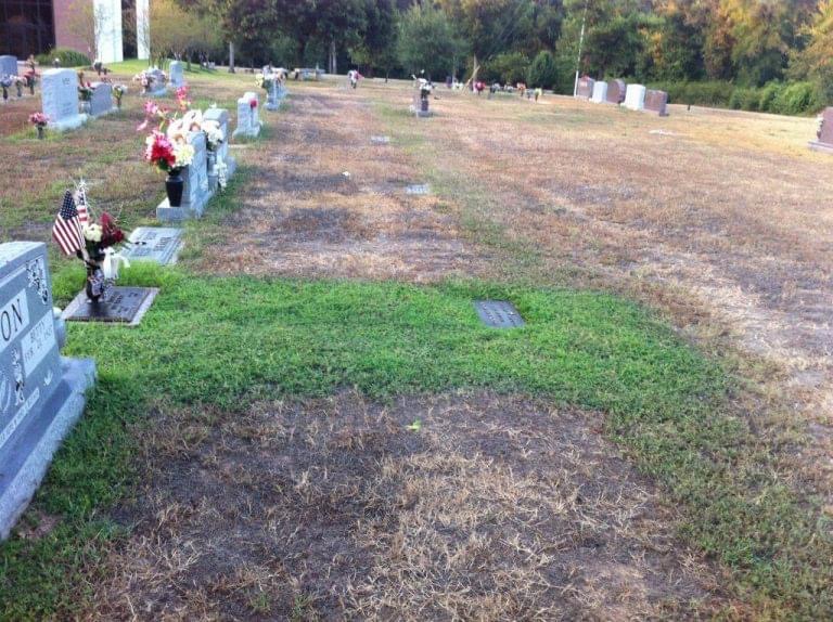 Soldier’s grave suddenly turns bright green, mother learns an ‘angel’ has been watching over him